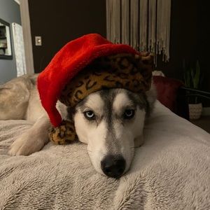 Meet your Posher, Susan